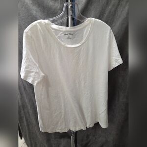 3 Eddie Bauer T-Shirts